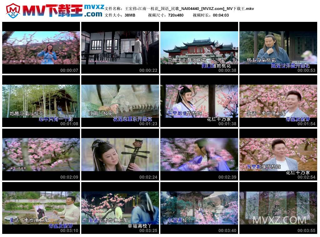 王宏伟-江南一枝花_国语_民歌_NAI04440